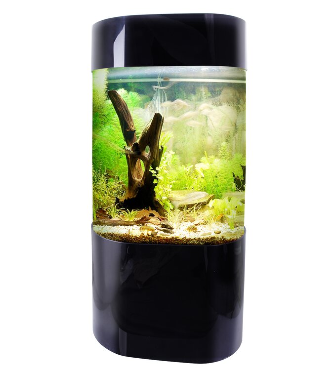 35-gallon-aquarium-dimensions-ubicaciondepersonas-cdmx-gob-mx